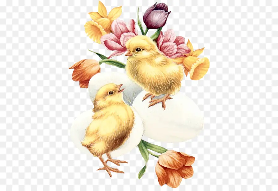 Poussins Jaunes，Fleurs PNG