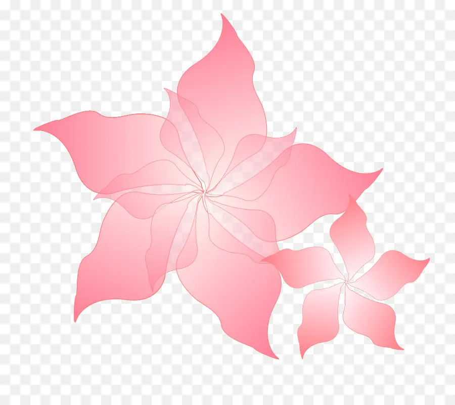 Fleur，Rose PNG