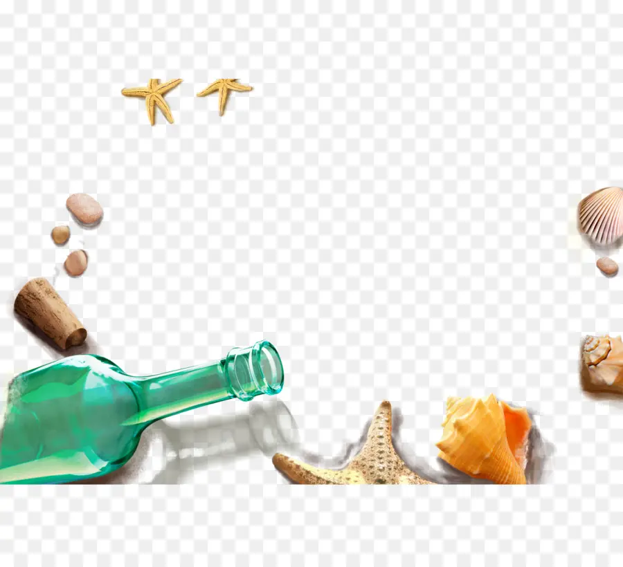 Bouteille Verte，Coquillages PNG