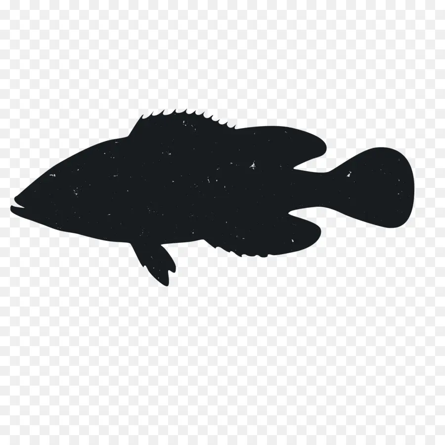 Silhouette De Poisson，Aquatique PNG