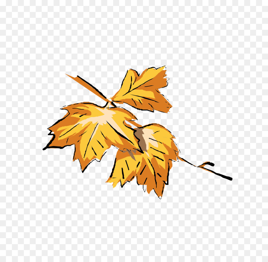 Feuilles D'automne，Automne PNG