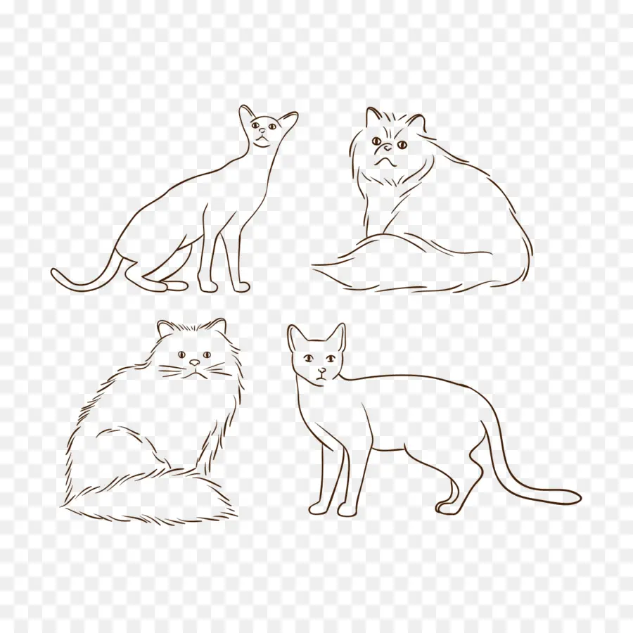 Illustrations De Chats，Félin PNG