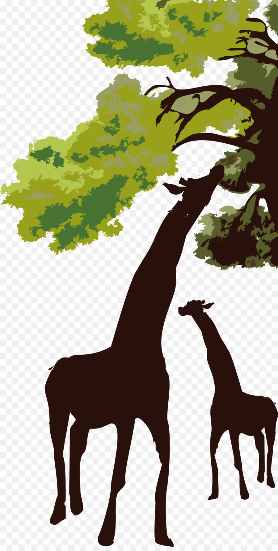 Girafes，Arbre PNG