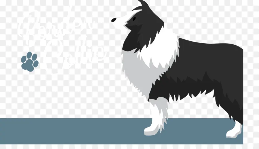 Chien Noir Et Blanc，Animal De Compagnie PNG