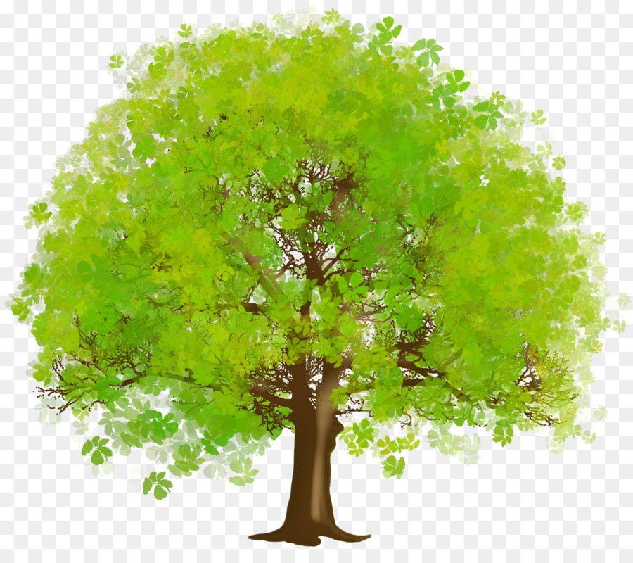 Arbre Vert，Feuilles PNG