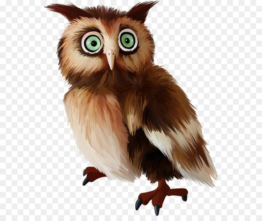 Hibou，Mignon PNG