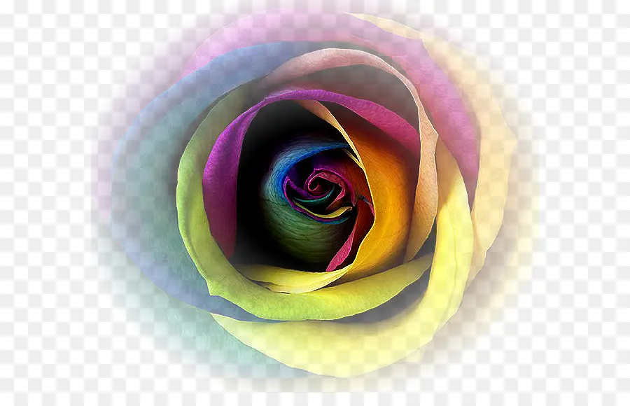 Rose Arc En Ciel，Coloré PNG