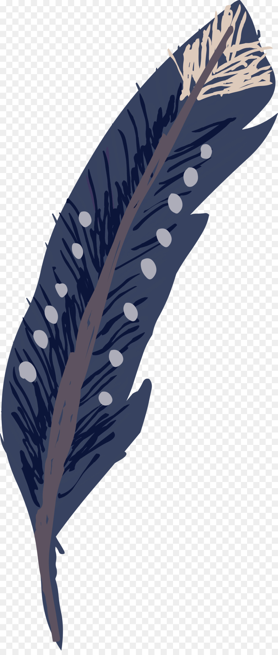 Plume，Bleu PNG