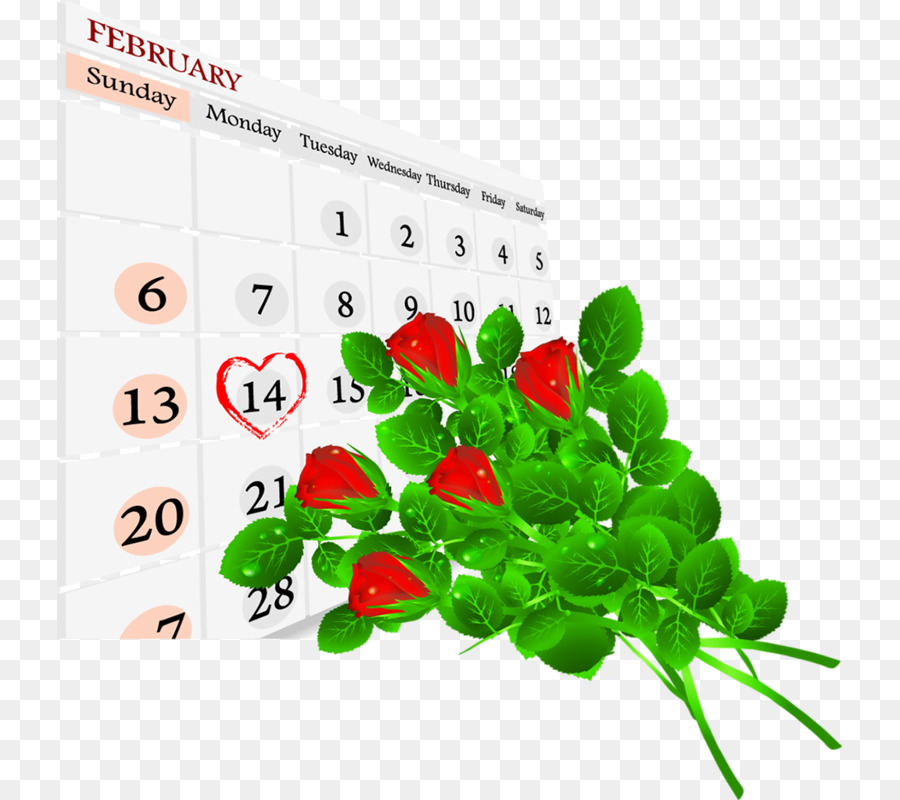 Calendrier Et Roses，Février PNG