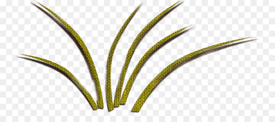 Feuille，Herbes PNG