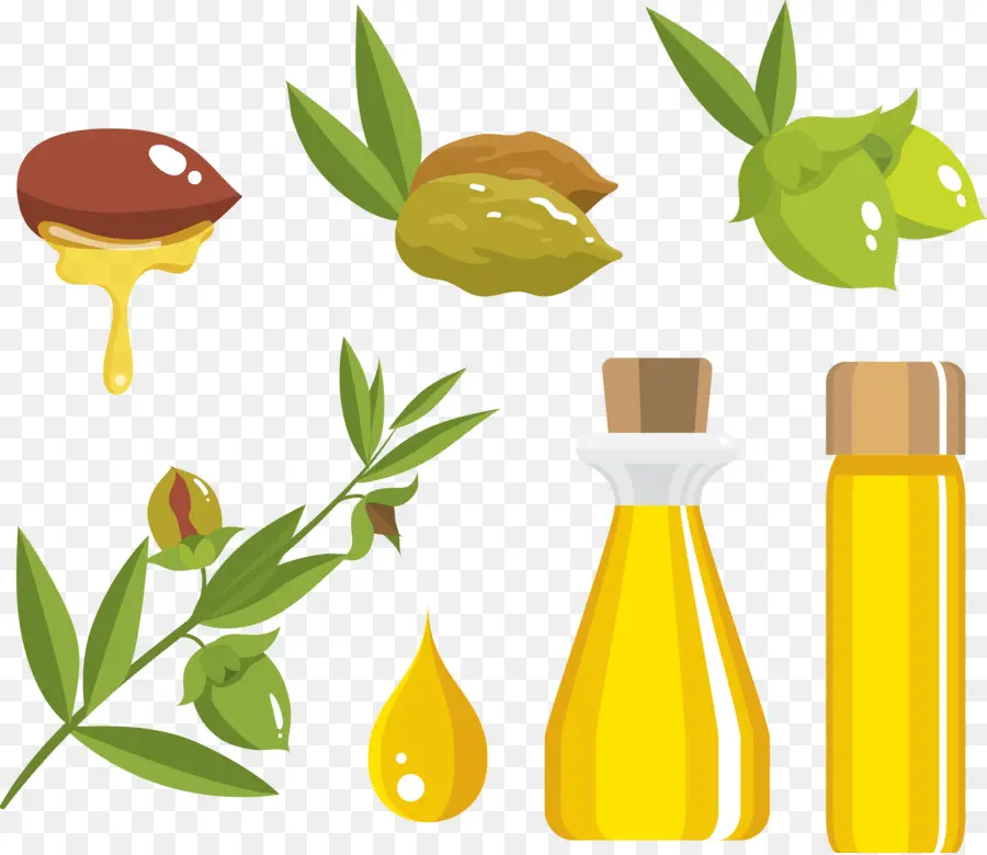 Le Pétrole，L Huile D Olive PNG