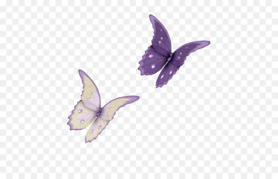 Papillons Violets Et Jaunes，Ailes PNG