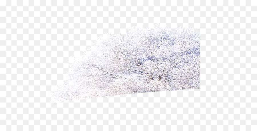 Arbre Blanc，Gel PNG