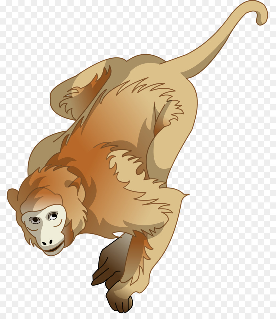 Lion，Macaque PNG