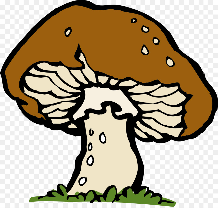 Champignon，Champignons PNG