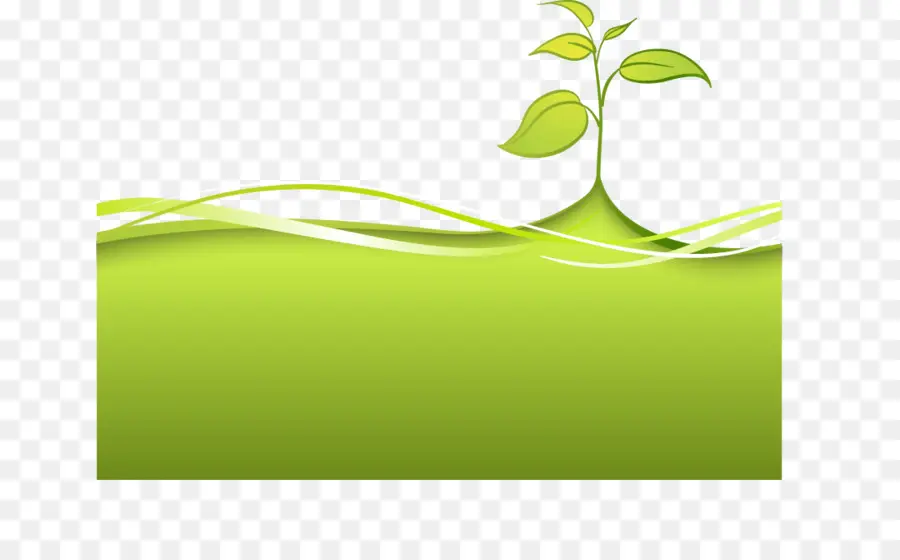 Plante Verte，Feuilles PNG