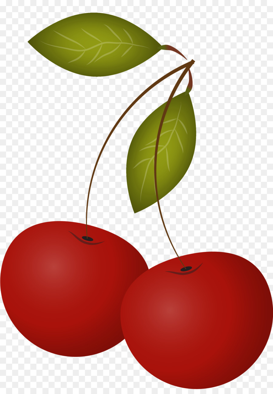 Cerises Rouges，Feuilles PNG