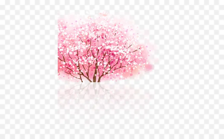 Arbre à Fleurs De Cerisier，Rose PNG