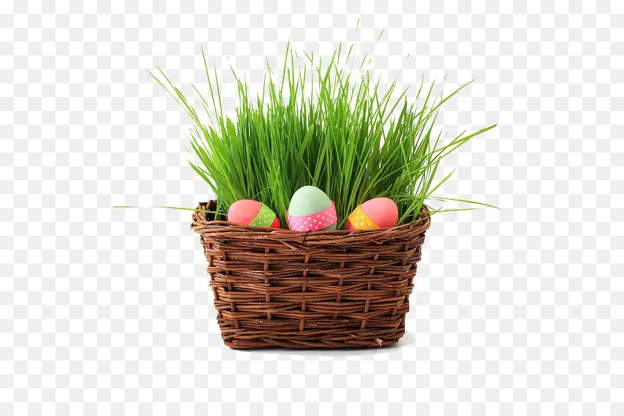 Panier，Herbe PNG