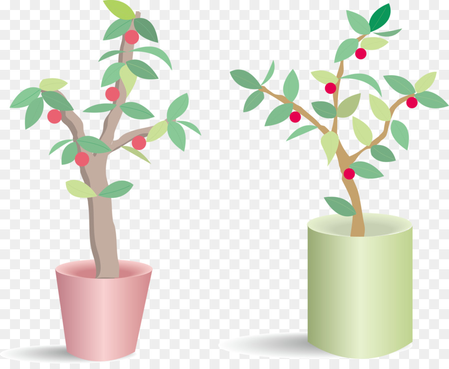 Plantes En Pot，Feuilles PNG