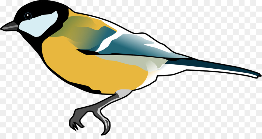 Petit Oiseau，Plumes PNG