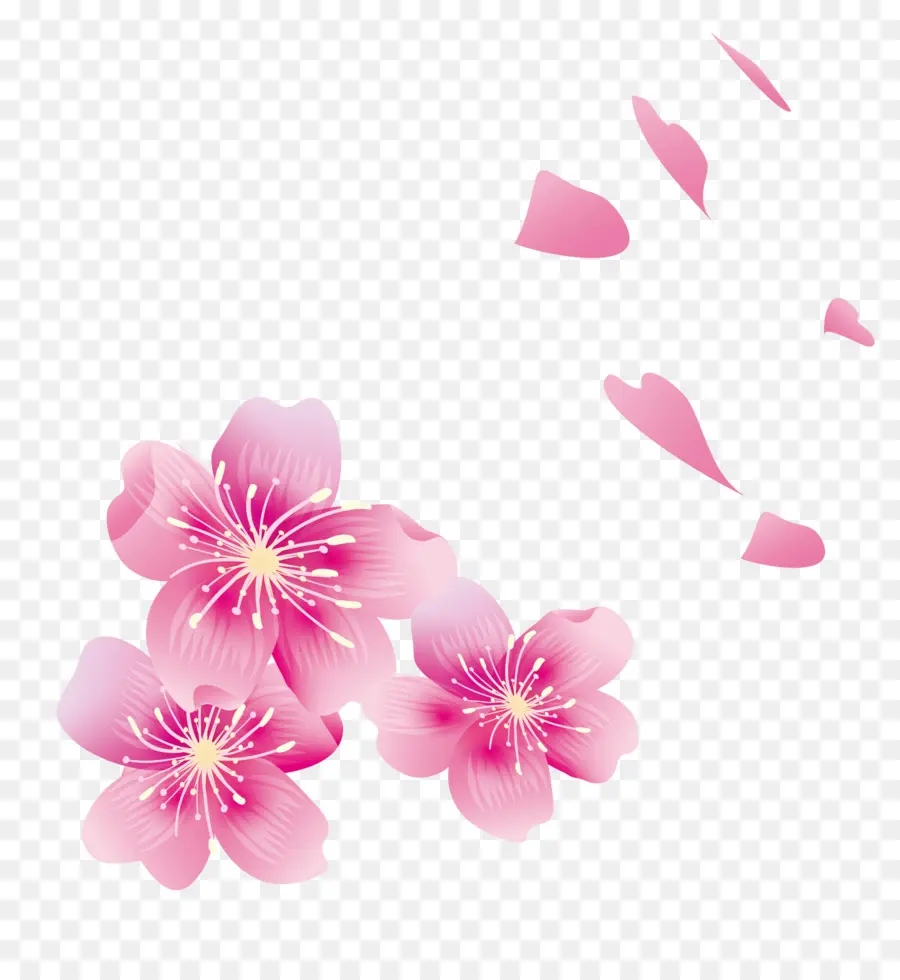 Fleurs，Rose PNG