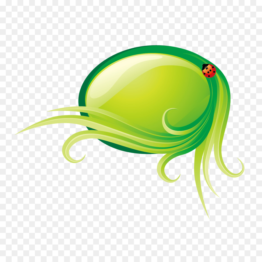 Insigne Vert，Coccinelle PNG