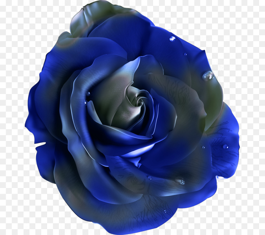 Rose Bleue，Pétales PNG