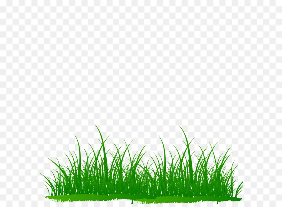 Herbe Verte，Pelouse PNG