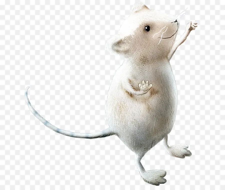 Souris，Blanc PNG