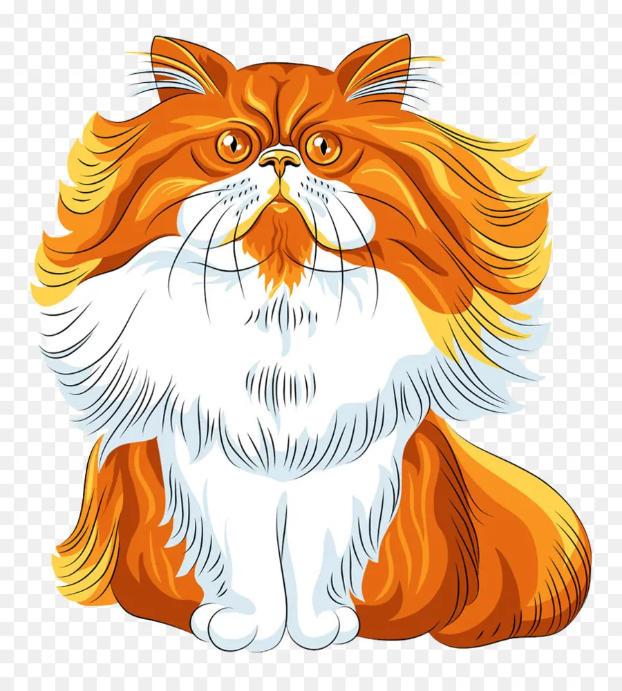 Chat Moelleux，Orange PNG