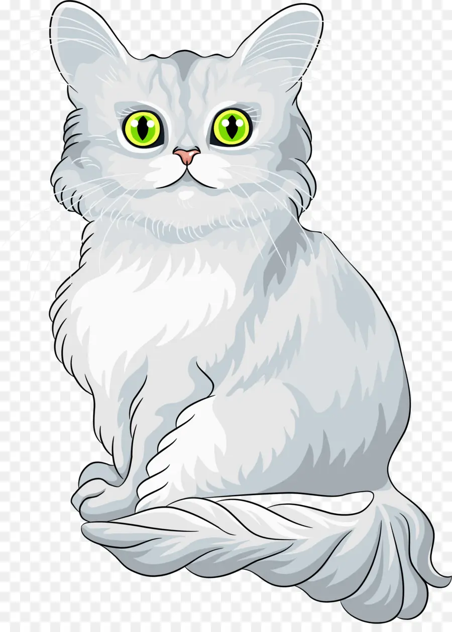 Maine Coon，Chantillytiffany PNG