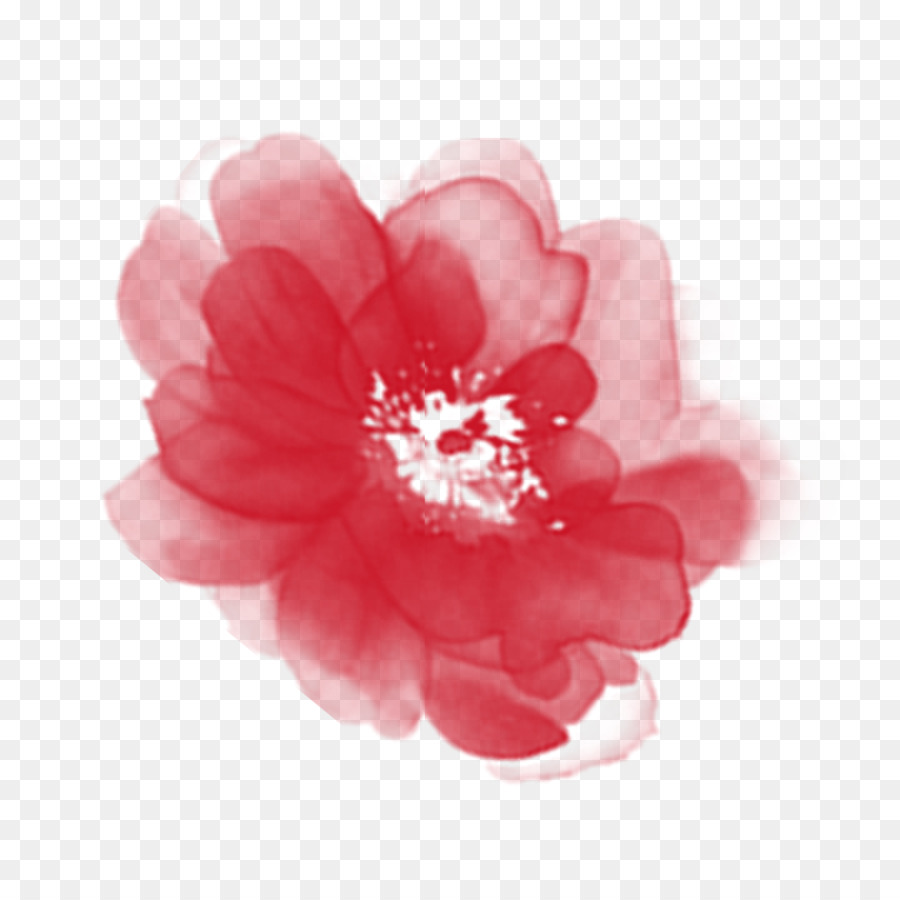 Fleur，Rouge PNG