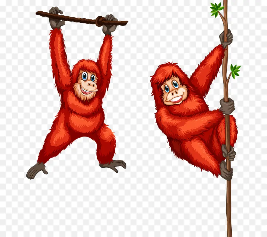 Singes Rouges，Arbre PNG