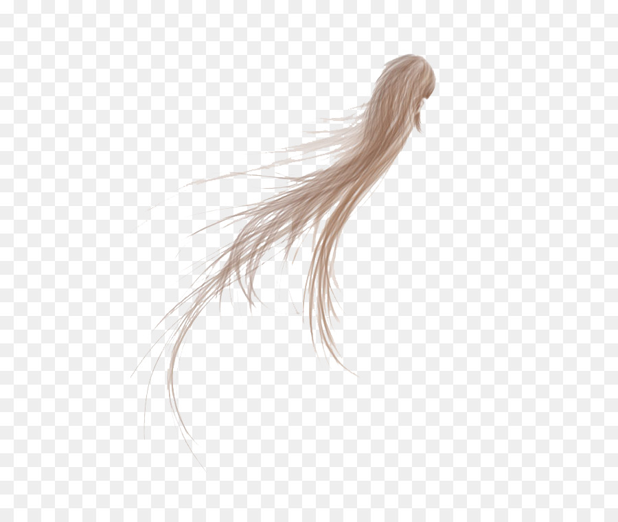 Cheveux，Brins PNG