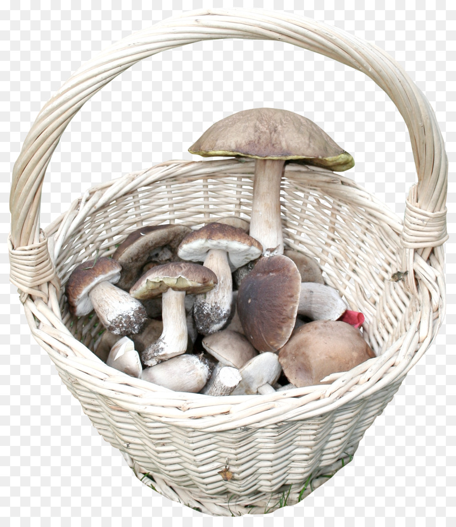 Panier De Champignons，Récolte PNG