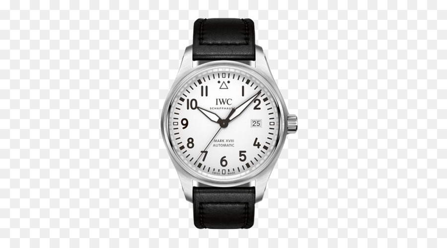 International Watch Company，Montre PNG