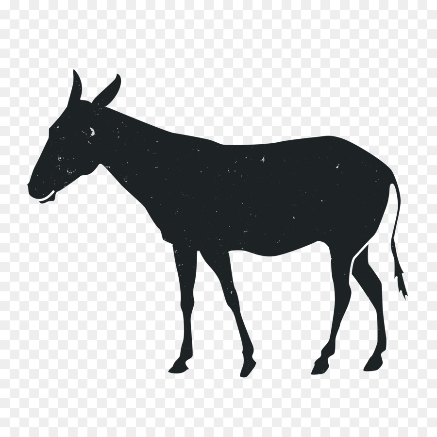 Mustang，Cheval De Peinture Américain PNG