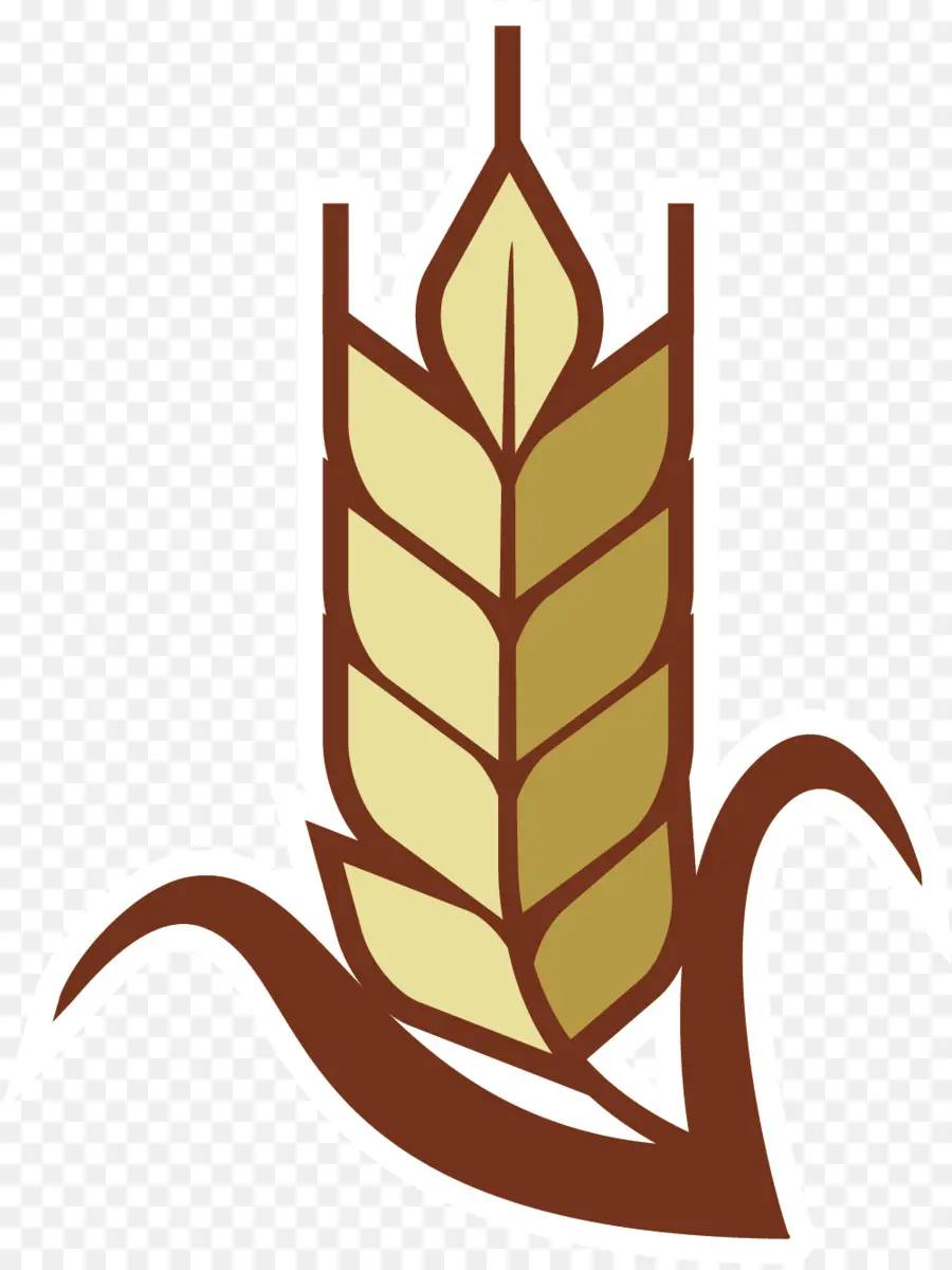 Blé，Grain PNG