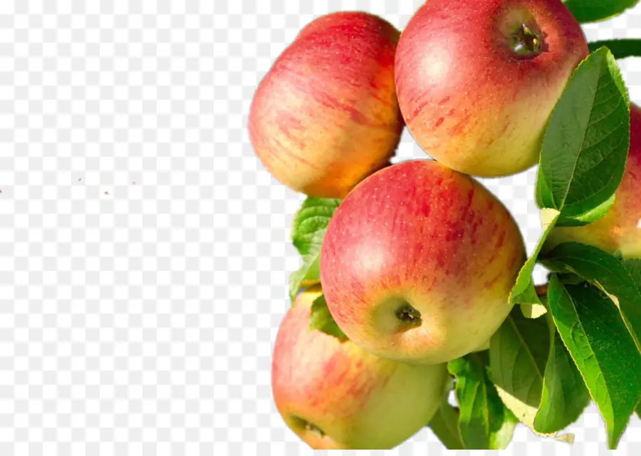 Jus，Pomme PNG