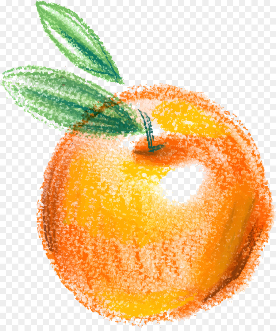 Orange，Agrumes PNG