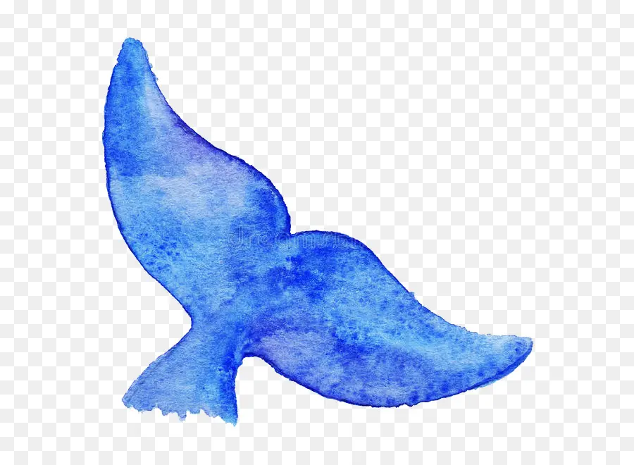 Baleine Bleue，Dessin PNG