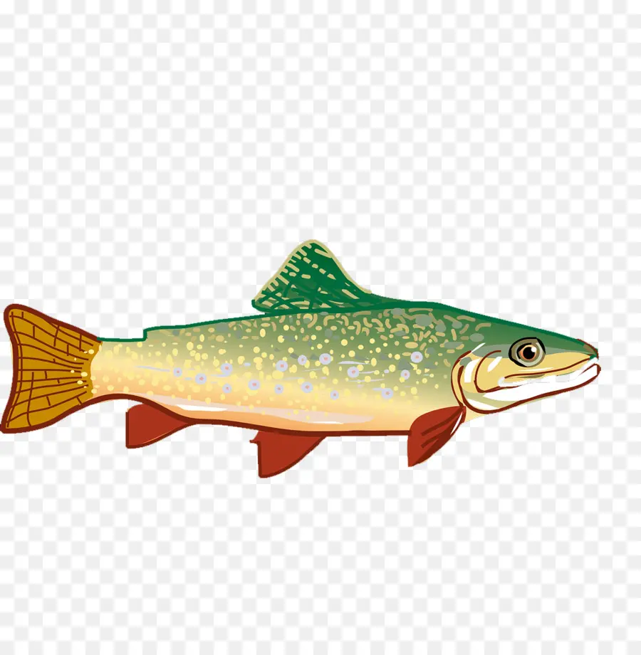 Poisson，Aquatique PNG