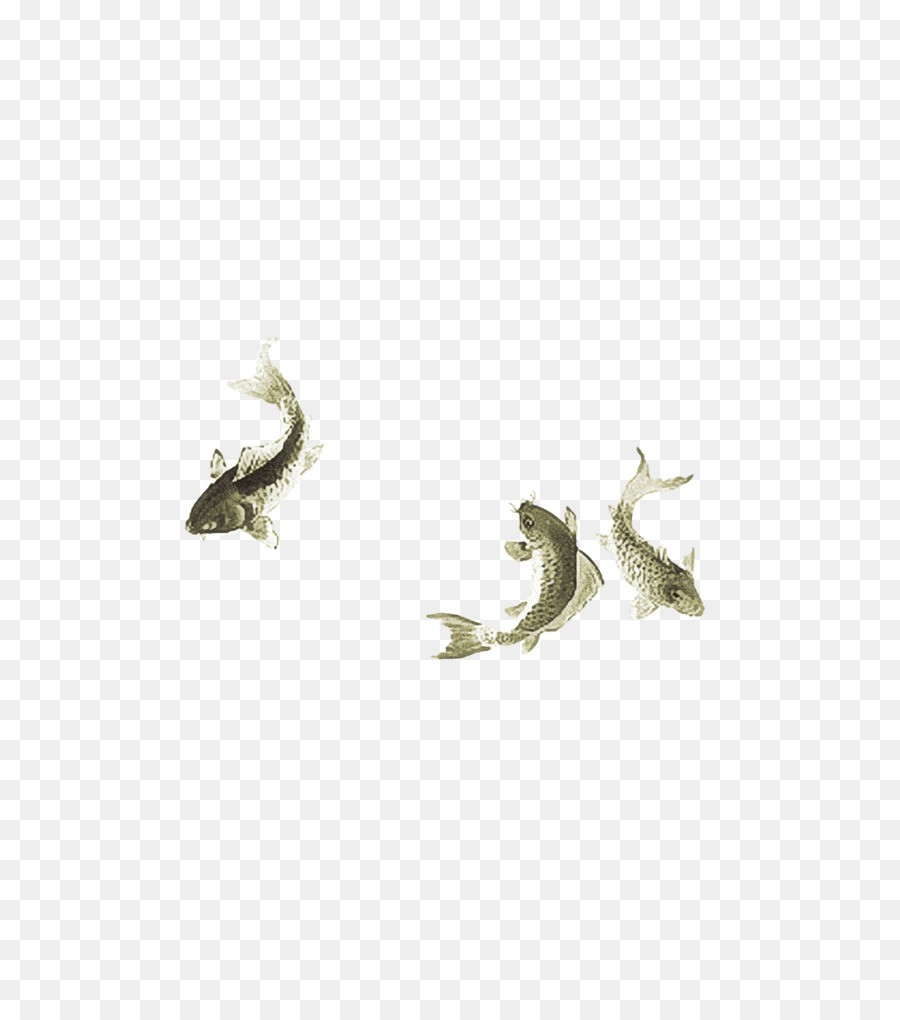 Poisson，Natation PNG