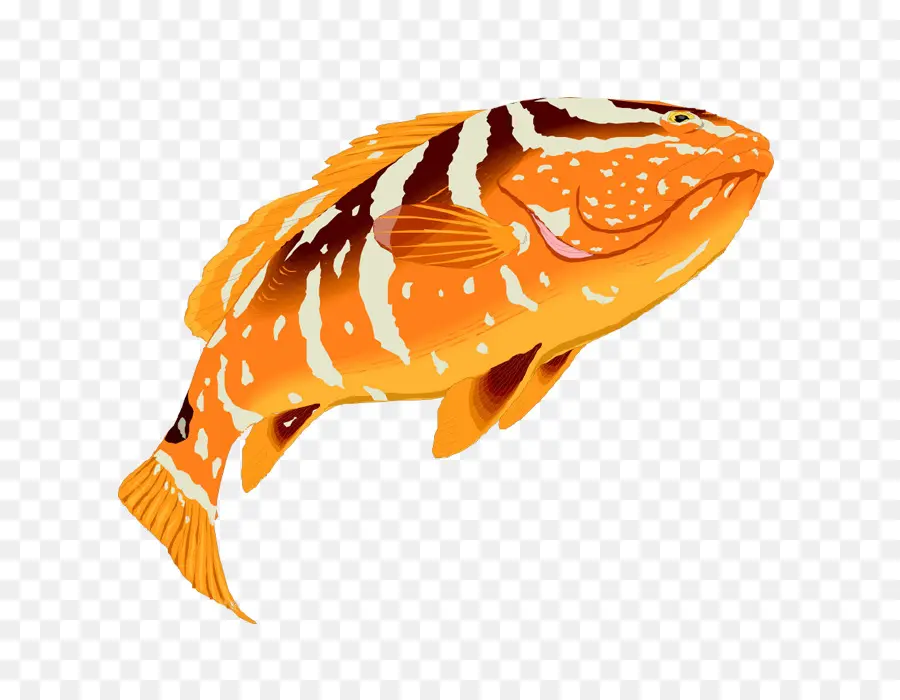 Poisson Orange，Marin PNG