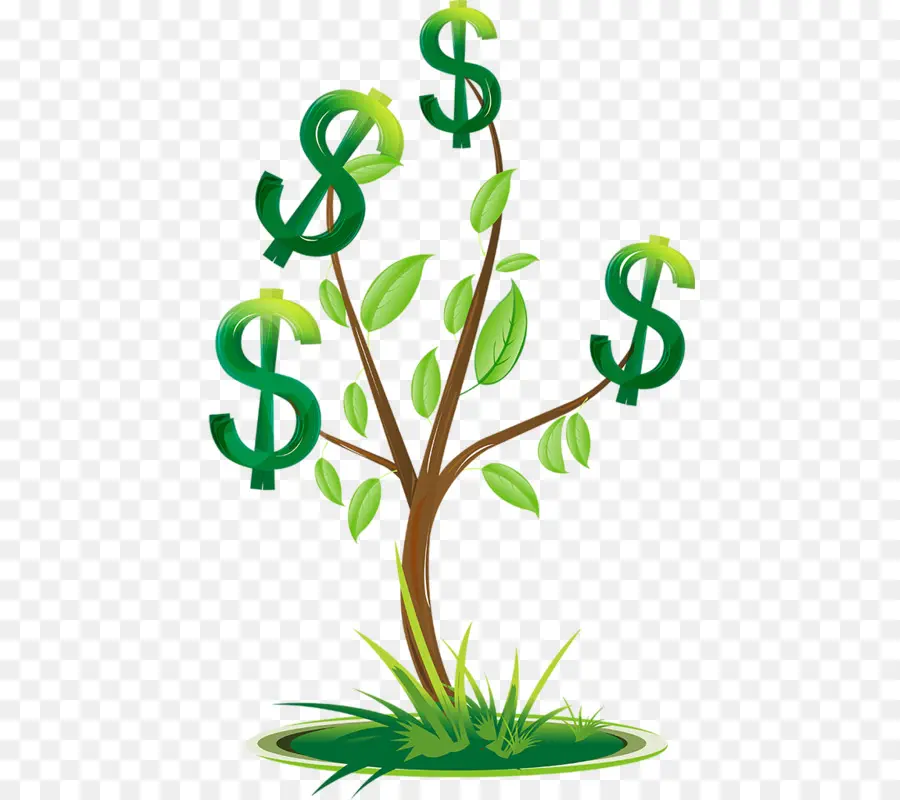 Arbre à Argent，Finance PNG