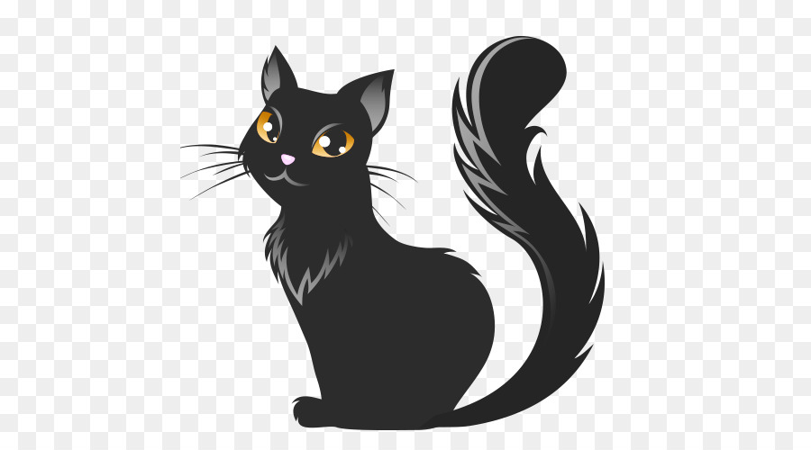 Chat Noir Et Blanc，Animal De Compagnie PNG