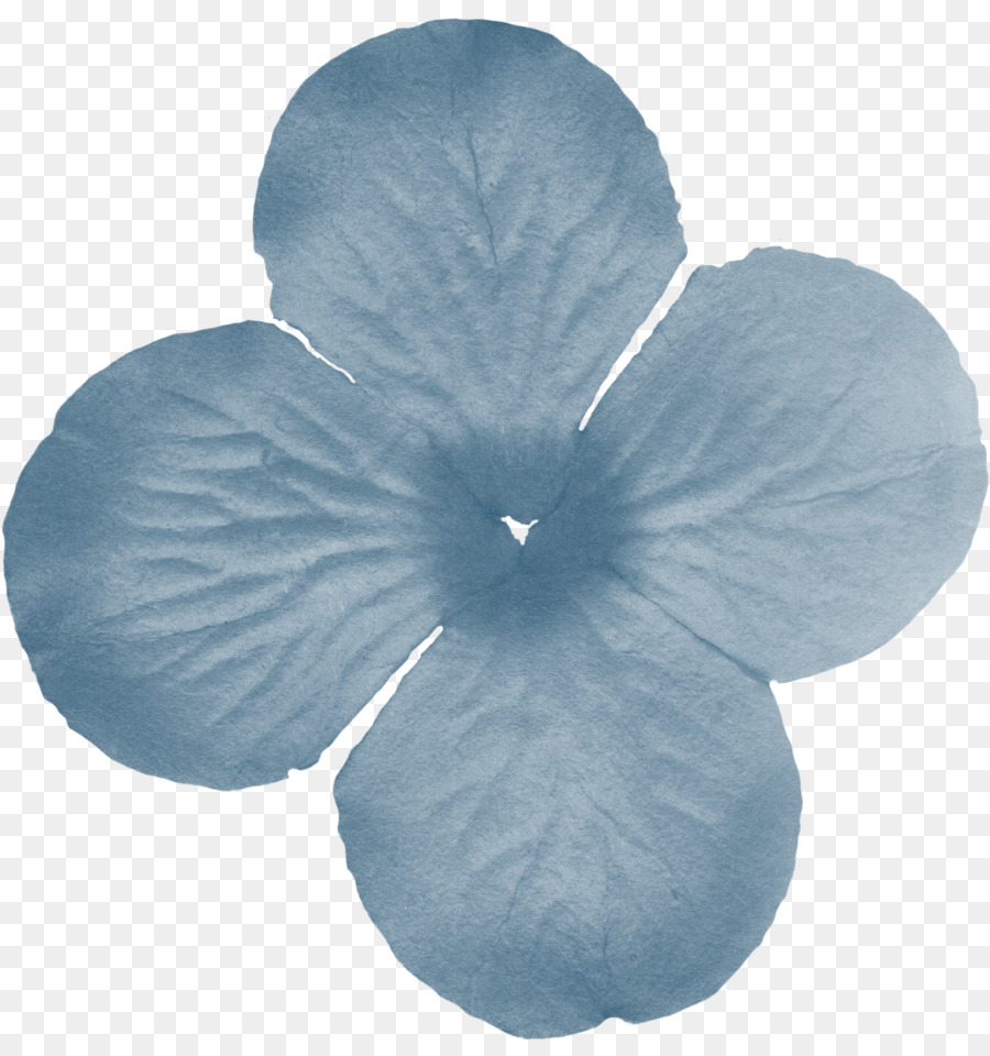 Pétale，Fleur PNG