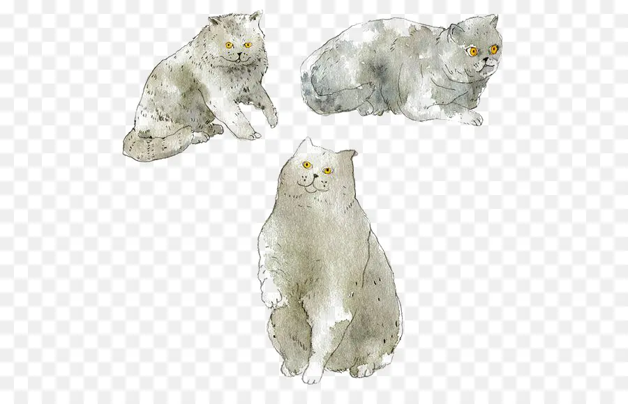 Chats Aquarelles，Trois Chats PNG