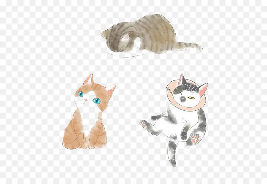 Chats Mignons，Adorable PNG